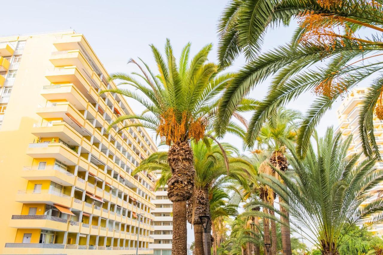Live Puerto De La Cruz Las Palmeras Ngoại thất bức ảnh